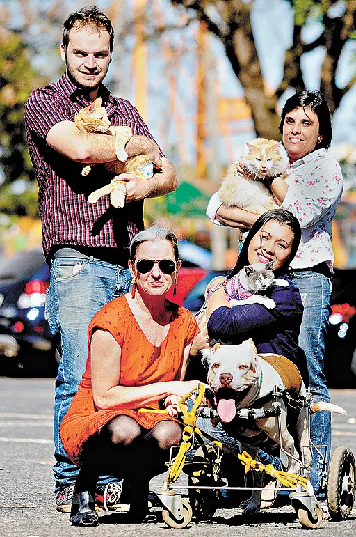 Guilherme e o gato Valentin; Káthia e o gato Miguel; Hellen com Yasmin; e Jane com Brad Pitt