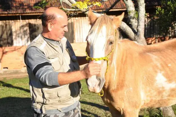 Cavalo Frederico recebe carinho do diretor de Proteção Ambiental da SEMAM, Volnei Campagnoni (Foto: Deivid Poncio / Divulgação)