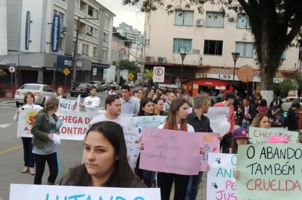 Cerca de 50 pessoas participaram da manifestação no Centro de Jaraguá do Sul Foto: Marciele Picolli Cravo,Divulgação / Marciele Picolli Cravo,Divulgação