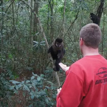 Apesar da convivência amistosa, a recomendação é de não tentar tocar nos macacos pois eles podem se tornar agressivos. (Foto: Divulgação)