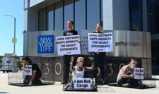 Protesto ocorre em frente à sede americana da China Southern Airlines. (Foto: AFP Photo/Frederic J. Brown)