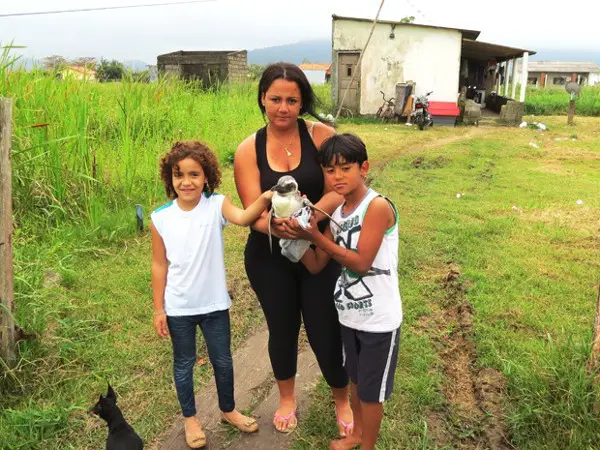 Família resgatou pinguim em Ilha Comprida, SP (Foto: Arquivo Pessoal / Cristian Negrão da Silva)