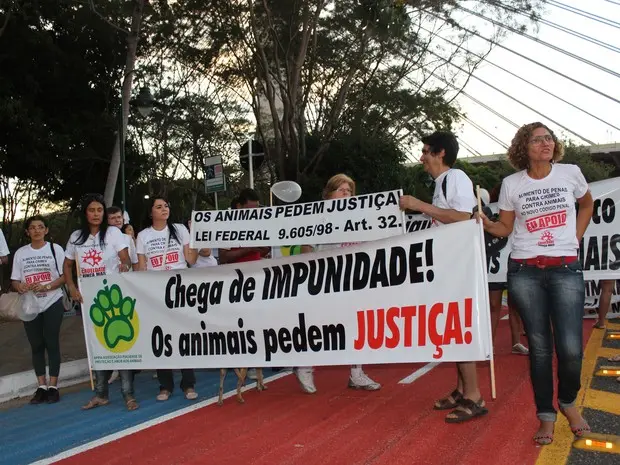 Ato em defesa dos direitos dos animais aconteceu na Avenida Raul Lopes (Foto: Patrícia Andrade/G1)