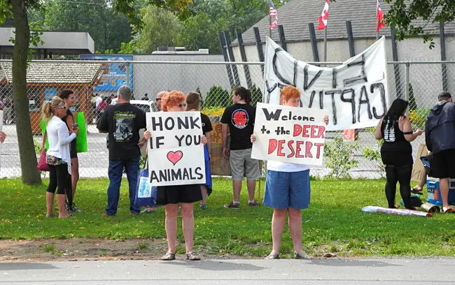 Ativistas reunidos em frente ao Marineland protestaram contra a exploração de animais pelo Parque. Foto: Ray Spiteri / Niagara Falls Review