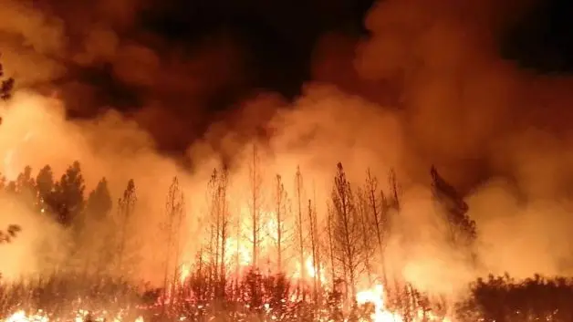 Foto tirada no dia 23 de Agosto, cortesia do US Forest Service, mostra o Rim Fire alastrando-se na vegetação do Parque Nacional de Yosemite, California. Foto: Ho, AFP/Getty Images
