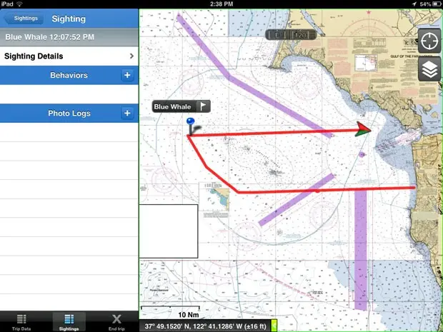 Reprodução da tela do aplicativo que ajuda a localizar baleias na costa da Califórnia e, consequentemente, a desenhar rotas alternativas para grandes navios (Foto: Point Blue/AP)