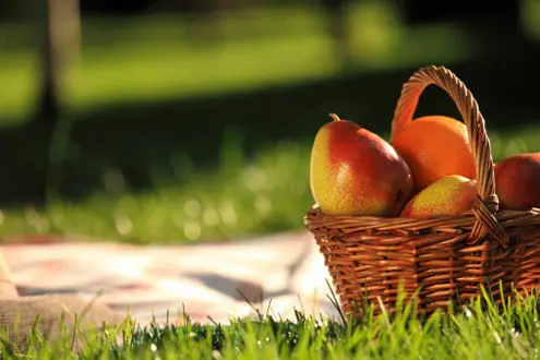 Frutas não podem faltar no piquenique. (Foto: Getty Images)