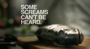 "Alguns gritos não podem ser ouvidos". Foto: PETA
