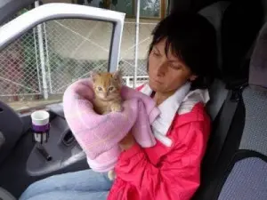 Norica resgatando filhote de gato encontrado abandonado. Foto: Care2