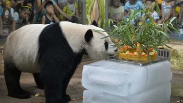 Pandas são utilizados como moeda de troca pela China.