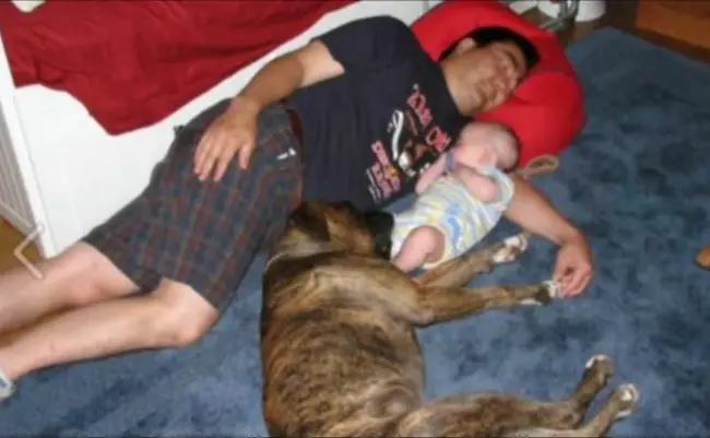 Furukawa dorme com o filho ainda bebê e o cão-guia Simon (Foto: Arquivo Pessoal)