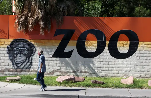 Zoológico de Nevada foi fechado deviso à falta de condições necessárias para vida dos animais (Foto: Justin Yurkanin/Las Vegas Review-Journal)