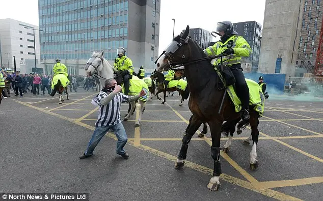 Barry Rogerson agrediu Bud, um cavalo da polícia, após jogo de futebol. Foto: Daily Mail 
