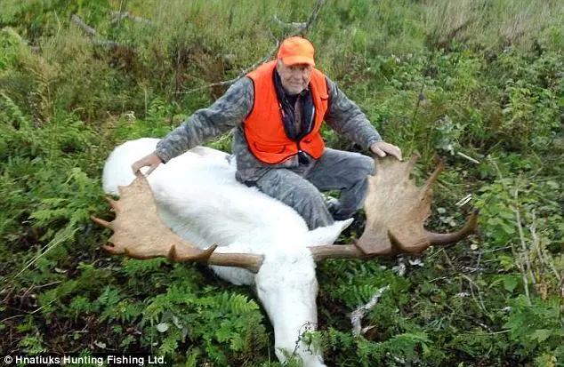 As comunidades indígenas Mi'kmaq, em Nova Scotia, Canadá, ficaram indignadas com a morte do alce pelos caçadores. Eles postaram esta foto no Facebook e, após reação do público, retiraram a foto. Foto: Daily Mail 