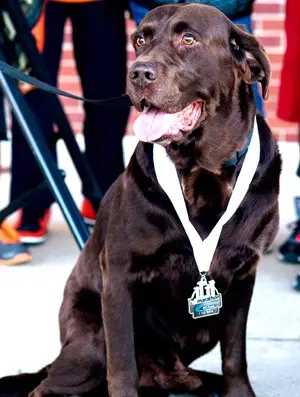 Boogie correu maratona nos EUA (Foto: Agência AP)