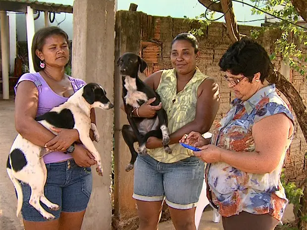 Rosemeire (à esquerda) segura Lili e Roseli (ao centro) com Neguinha no colo: as cadelas são as únicas sobreviventes do suposto envenenamento (Foto: Chico Escolano/EPTV)
