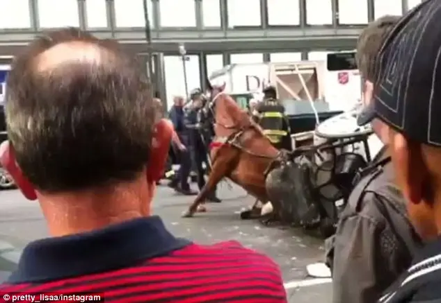 Assistindo: as pessoas observam ao lado na rua enquanto o cavalo impacienta-se com suas pernas traseiras presas.