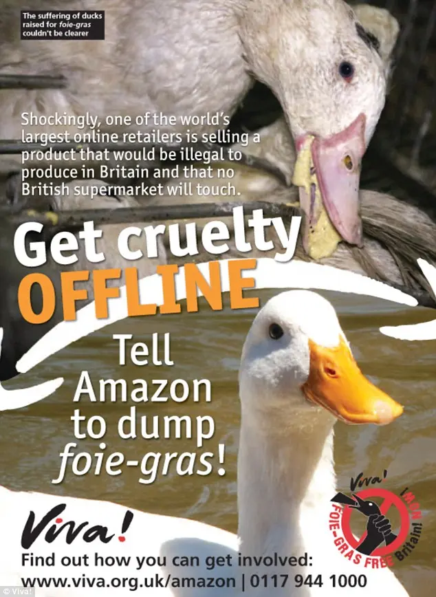  O grupo de direitos dos animais Viva! lançou uma campanha para mostrar à Amazon como os pássaros são tratados em fazendas na França, onde alguns de seus produtos se originam.