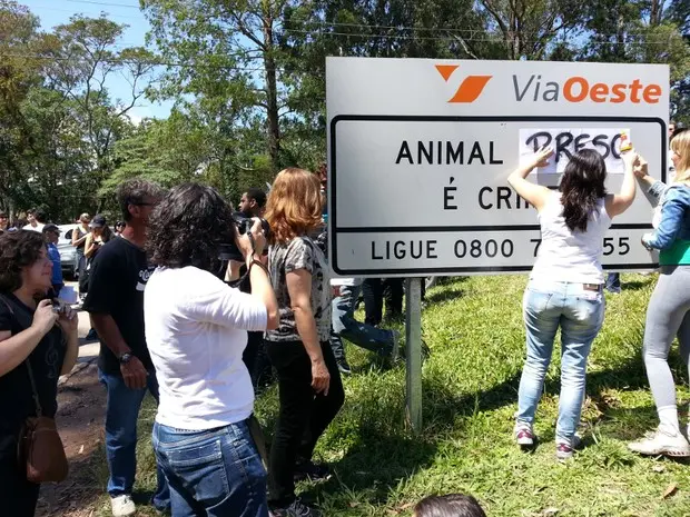 Manifestantes em defesa dos animais mudam placa orientação durante protesto realizado em São Roque no último sábado (Foto: Geraldo Nacimento/G1)