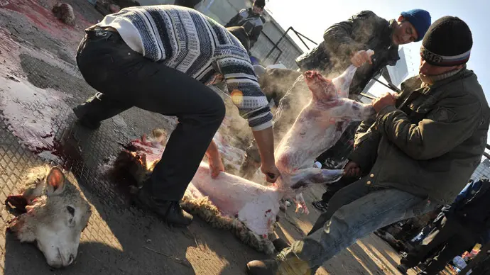 Muçulmanos mutilam carneiro na comemoração religiosa de Eid al-Adha, a “festa do sacrifício”, também conhecida como Kurban Bairam, em Reutov, Moscou. (Foto: RIA Novosti/Ramil Sitdikov)
