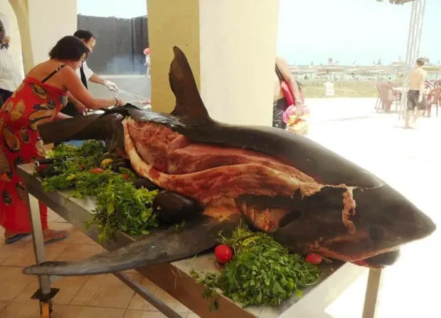 Resort na Tunísia chamou atenção por servir tubarão inteiro para os hóspedes (Foto: Reprodução/Imgur)