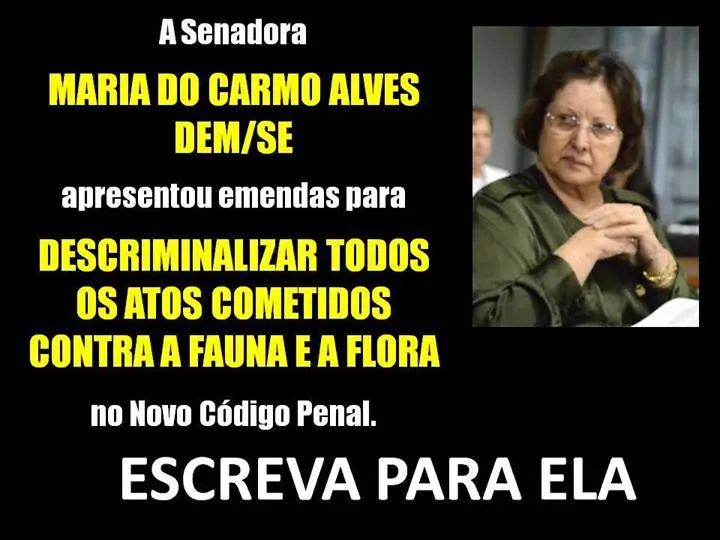 A Senadora apresentou proposta que descriminaliza todos os atos cometidos contra a flora e fauna brasileira. (Foto: Reprodução/Facebook)