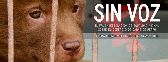  nova investigação realizada pela ONG Igualdad Animal sobre o comércio de carne de cachorro. Assine a nossa petição em: SINVOZ.ORG. (Foto: Reprodução)