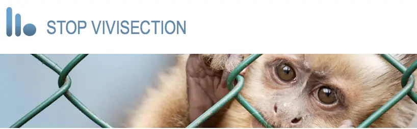 stop-vivisection