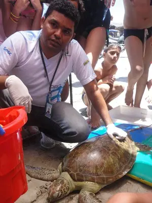 Técnico do Tartarugas do Delta atende tartaruga encalhada. (Foto: Carol Porto/Projeto Biomade/Divulgação)