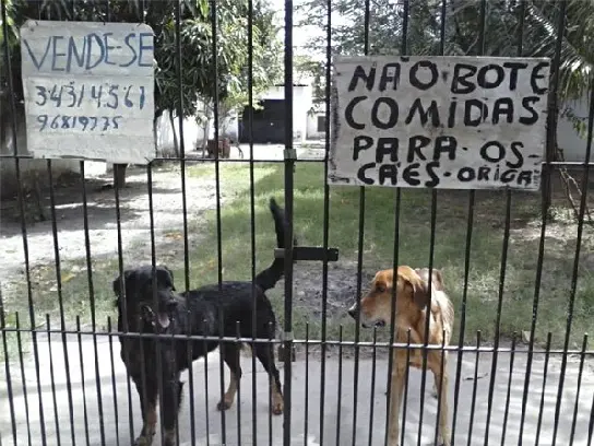 Placa no portão da casa adverte para que os cães não sejam alimentados. (Foto: Facebook/Reprodução)