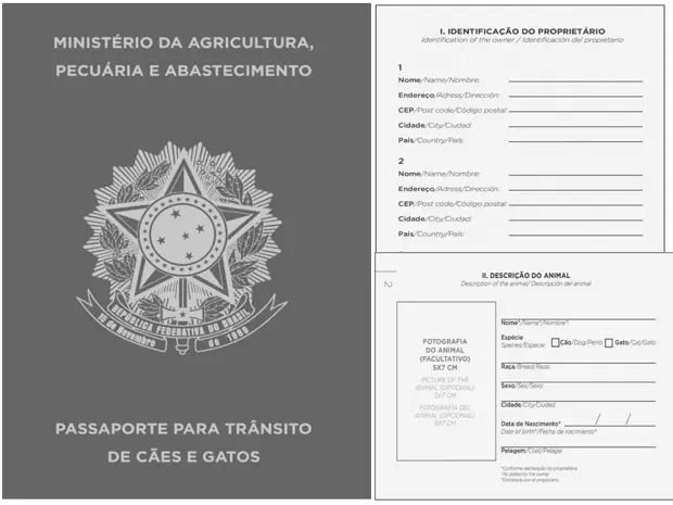Modelo da capa e de páginas do passaporte de cães e gatos (Foto: Reprodução/Diário Oficial da União)