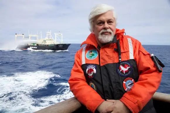 Paul Watson, fundador e presidente da Sea Shepherd Conservation Society, demitiu-se a fim de cumprir uma ordem judicial dos EUA. (Foto: Sea Shepherd)