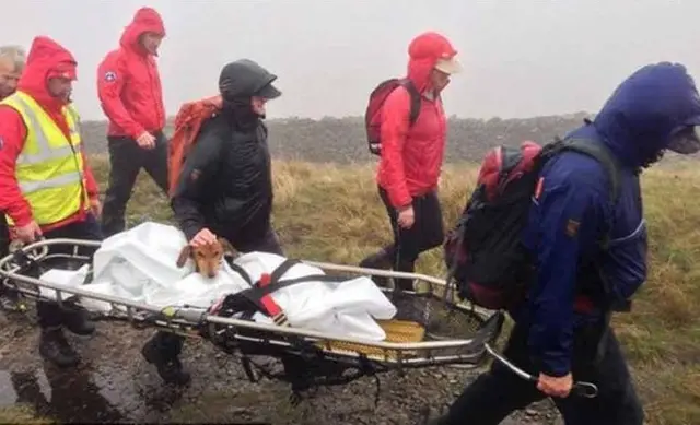 Voluntários salvaram o cão. (Foto: Reprodução/dailymail.co.uk)
