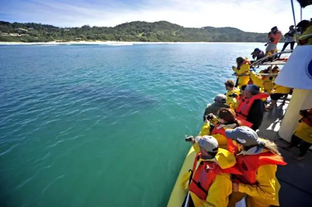 Temporada de 2012 teve mais de cinco mil turistas embarcados. Foto: Charles Guerra / Agencia RBS
