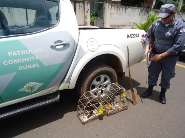 Foram apreendidas duas espingardas no sítio (Foto: Divulgação/ Polícia Ambiental)