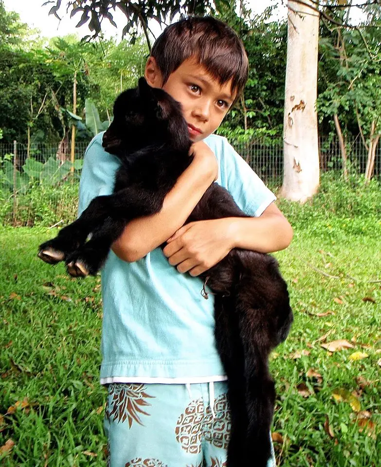 Crianças aprendem sobre compaixão e esperança com os animais (Foto: Divulgação / One Green Planet)