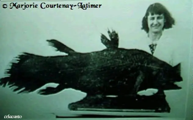 Marjorie Courtenay-Latimer e o seu celacanto