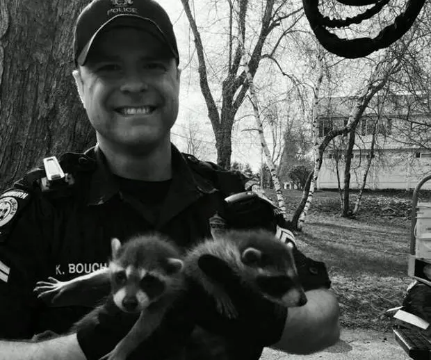 Na foto, o policial Kris Bouchard com alguns dos animais resgatados (Foto: Divulgação/Departamento de Polícia de Auburn)