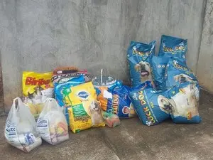 Grupo arrecada comida para cães abandonados (Foto: Thaís Carneiro / Arquivo pessoal)