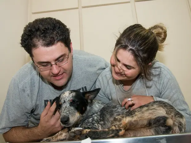 Casal mobilizou redes sociais para encontrar animal em Araraquara (Foto: Marcos Leandro/Tribuna Araraquara)