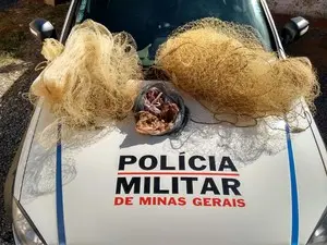 Animais silvestres mortos estavam dentro de sacolas plasticas (Foto: Divulgação / PM)