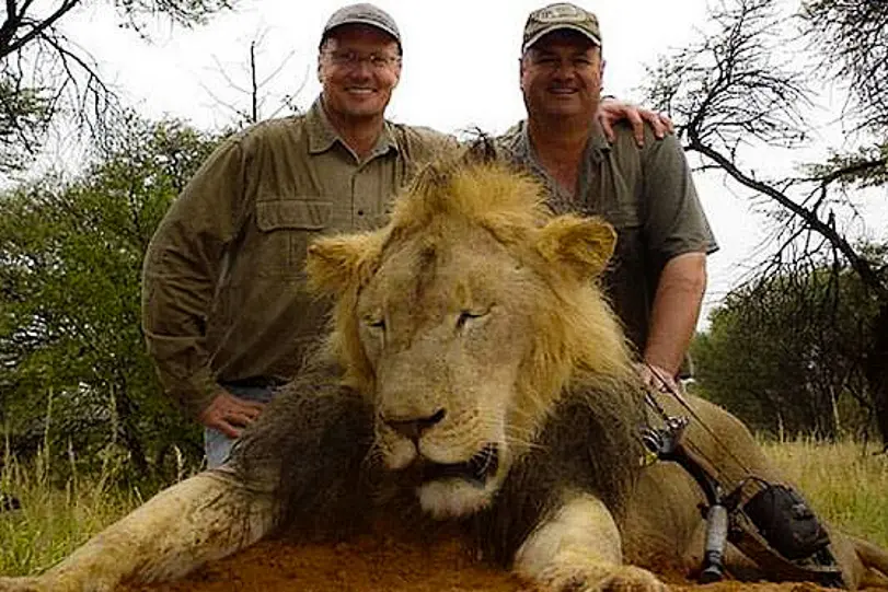 O dentista Walter Palmer posa junto a um leão morto em outra caçada. Ele é acusado de ter pago 50 mil dólares para abater o leão Cecil. Foto: Facebook