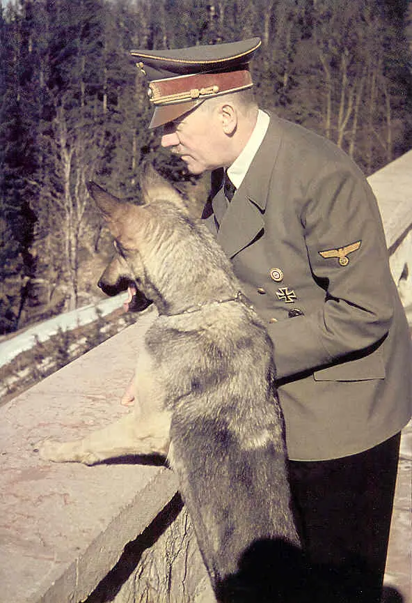Hitler com a cadela Blondie. Foto: Domínio público web
