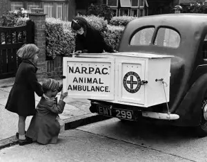Ambulância que salvou animais durante Segunda Guerra Mundial. Arquivo Anda