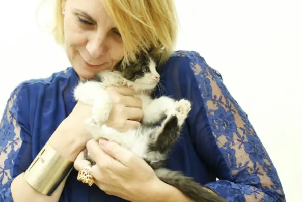 Nova tutora abraça gatinho 