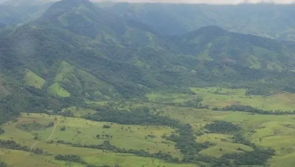 Florestas da província de Caqueta, na Colômbia