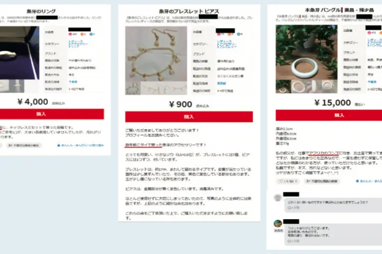 Produtos de marfim à venda em sites