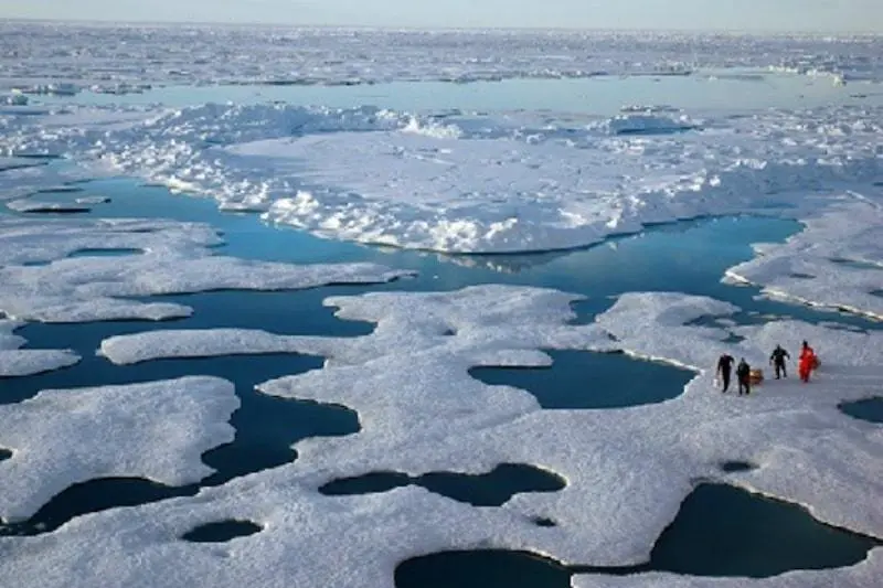 Por causa das mudanças climáticas a primavera pode chegar no Ártico com 16 dias de antecipação.