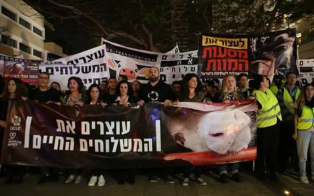 Ativistas em Israel manifestaram contra a continuação de exportações de cargas vivas de animais da Austrália para Israel (Foto: Adi Avikzer)