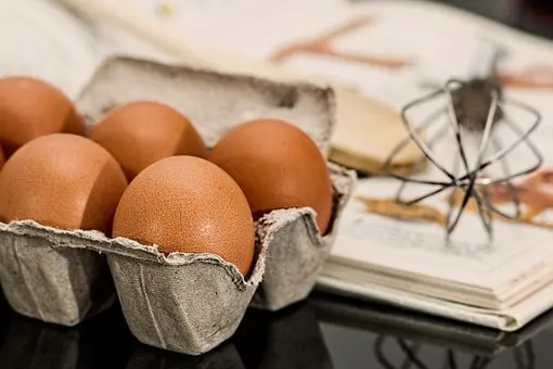 Indústria de ovos tem impacto negativo ao meio ambiente, sendo de forte influência na emissão de gases de efeito estufa. (Foto: Divulgação)